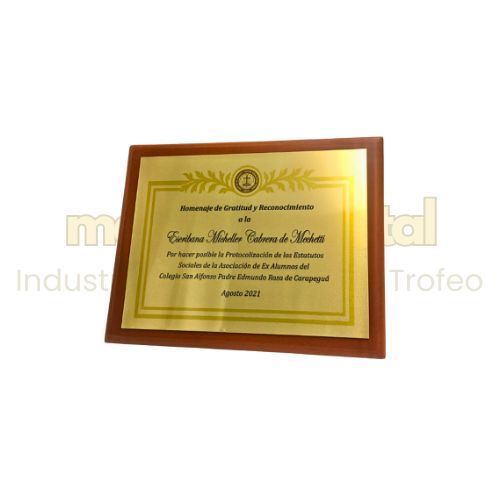 Imagen de Placa de reconocimiento - M3.101